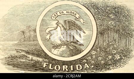 . A gazetteer of the United States of America : comprising a concise general view of the United States, and particular descriptions of the several states, territories, counties, districts, cities, towns, villages, their mountains, valleys, islands, capes, bays, harbors, lakes, rivers, canals, railroads, &c. ; with the governments and literary and other public institutions of the country; also, its mineral springs, waterfalls, caves, beaches, and other fashionable resorts; to which are added valuable statistical tables, and a map of the United States . operations in this department of industryb Stock Photo