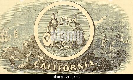 . A gazetteer of the United States of America : comprising a concise general view of the United States, and particular descriptions of the several states, territories, counties, districts, cities, towns, villages, their mountains, valleys, islands, capes, bays, harbors, lakes, rivers, canals, railroads, &c. ; with the governments and literary and other public institutions of the country; also, its mineral springs, waterfalls, caves, beaches, and other fashionable resorts; to which are added valuable statistical tables, and a map of the United States . er these localities unfit for the residenc Stock Photo