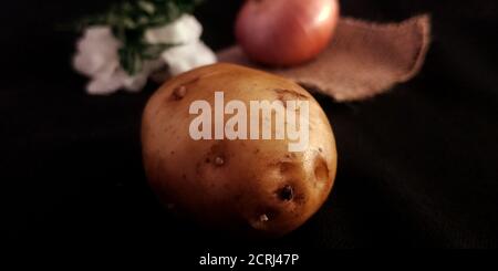 Fresh single closeup potato sack mat surface set isolated on black background agriculture surface branding presentation. Stock Photo