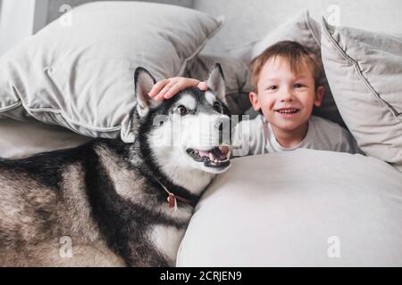 Cute little boy lying on sofa playing with dog at home Stock Photo