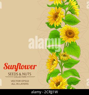 sunflower vector background Stock Vector