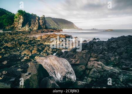 Driftwood landed on rock grounds Stock Photo