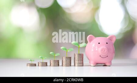 Coin graphs show financial growth and tree planting on a pile of money, including piggy banks, money-saving ideas, and financial growth. Stock Photo