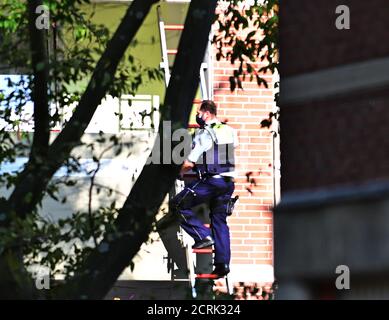 19 September 2020, North Rhine-Westphalia, Krefeld: A police officer is standing on a ladder at an apartment building. On Saturday evening, the emergency services initially feared that a man might also harm the four children they had together after the abuse of his wife. Special forces surrounded the house where the children were staying for hours. Finally it was clear that the siblings, aged three to nine years, were alone in the apartment and were not under the control of their father. The 53-year-old, who is said to have seriously abused his wife for hours in Krefeld and who triggered a SE Stock Photo