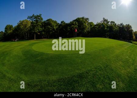 sunny fisheye wide view of putting green hole on golf course with trees in background Stock Photo