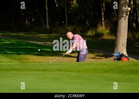 Male senior golfer chips golf ball from rough on to green Stock Photo