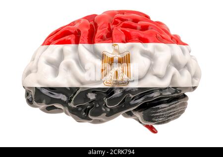 Human brain with Egyptian flag. Scientific research and education in Egypt concept, 3D rendering isolated on white background