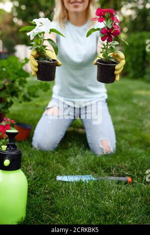 Woman shows two flowers in pots, gardening Stock Photo