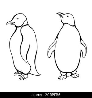 Penguin black white isolated graphic bird isolated illustration vector Stock Vector