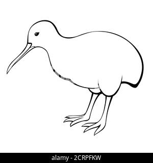 Kiwi bird black white isolated illustration vector Stock Vector