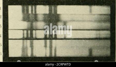 . Radium; la radioactivité et les radiations, les sciences qui s'y rattachent et leurs applications . n refroidissement jus-quà 8.) degrés absolus sont très rares. Si, mainlenanl. nous passons aux lenq)eralures delhydrouèiie liipiide (:iO digrés abs.) cl de lIivdrogènesolide (14 degrés abs.), nous constatons (|ue certainesbandes continuent à augmenter dintensité, mais quedautres, au contraire, ipii étaient devenues très toriesà 85 degrés, salfaiblissenl ou même disparaissent. Ce phénomène est neltenient visible sur les figures.Set (i oblenues avec une lame de tvsonite de l,7dépaissiiir. Sur la Stock Photo