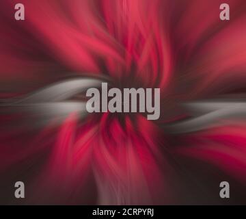Abstract bright red white black striped background with swirl shapes Stock Photo