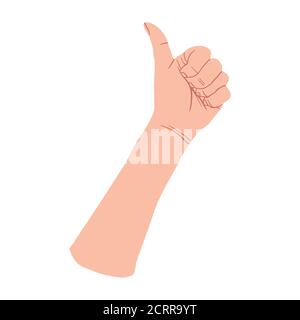 Hand gesture Thumb up symbol, finger up. Like sign. Vector flat design in cartoon style. Isolated on white background. Stock Vector