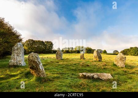 Early morning at Duloe Bronze Age Stone Circle in Cornwall, England Stock Photo