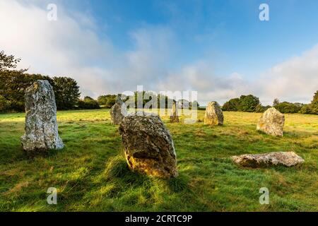 Early morning at Duloe Bronze Age Stone Circle in Cornwall, England Stock Photo