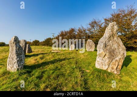 Late afternoon at Duloe Bronze Age Stone Circle in Cornwall, England Stock Photo