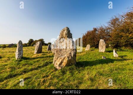 Late afternoon at Duloe Bronze Age Stone Circle in Cornwall, England Stock Photo