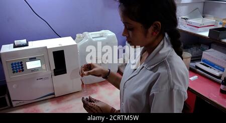 DISTRICT KATNI, INDIA - SEPTEMBER 27, 2019: An indian lab technician girl testing blood sample at pathology laboratory in city hospital ward. Stock Photo