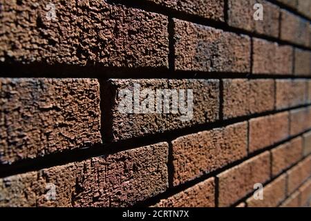 4 - Abstract selective focus side view of harshly lit red brick wall. Lines converge into the blurred distance. Lit by bright sunlight. Stock Photo