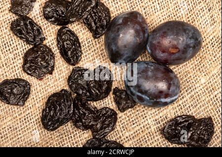 Juicy black plums and dried prunes on a homespun cloth with a rough texture. Close up. Autumn harvest Stock Photo