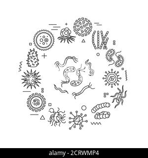 Viruses and germs web banner. Microscopic germ cause diseases. Infographics with linear icons on white background. Creative idea concept. Isolated Stock Vector