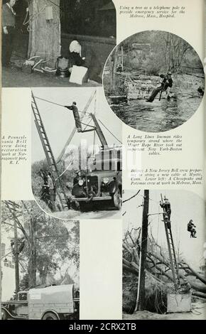 . Bell telephone magazine . This new cable restores the Brook field, Mass., section to communication with the rest of the world. A New York Com-pany crew removes afallen tree from a ca-ble near Selden, L. I. Using a tree as a telephone pole to provide emergency service jar the Melrose, Mass., Hospital.. *.;si Rii;I:t: Long Lines men splicingtemporary twisted pair at an impor-tant cable break at Atwoodville, Conn. Stock Photo