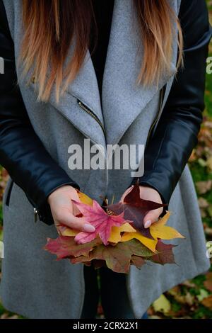 girld holding colorful autumnal leaves in the woods Stock Photo