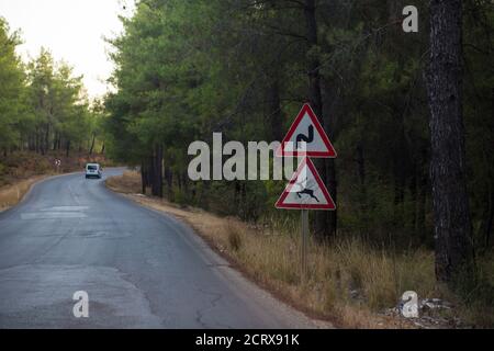 Roadside warning signs, animal may come out and bend sign in Turkey Stock Photo