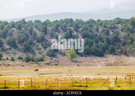 Man mowing dry & dusty pasture with tractor; Central Colorado; USA Stock Photo