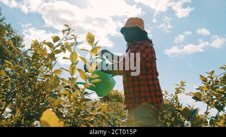 Happy handsome african farmer watering the plants. High quality photo Stock Photo