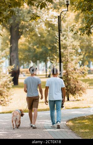 back view of teenager son and father walking with golden retriever on asphalt Stock Photo