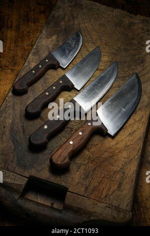 Mortara 09/10/2019 : kitchen knives lined up on wooden cutting board Stock Photo