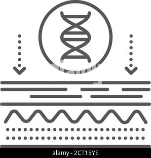 Impact on skin genetics line black icon. Skin care. Sign for web page, mobile app, button, logo. Vector isolated element. Editable stroke. Stock Vector