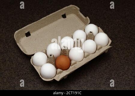 Multi-colored eggs in a package. Organic Eggs from Free Range Chickens. Eggs Of Different Colors From White To Brown Together In A Crate Stock Photo