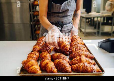 Gloved hand placing freshly baked crispy golden croissants on a tray to cool Stock Photo