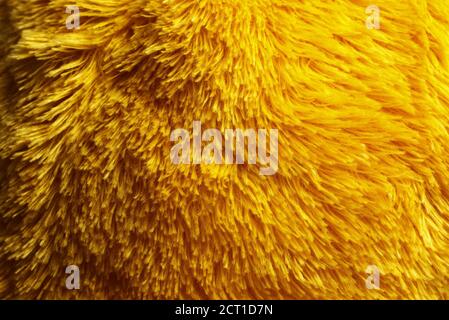 Dark artificial yellow fur background Stock Photo