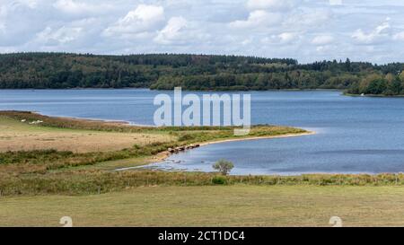 View of Saint-Agnan lake located in the protected area of the Parc naturel régional du Morvan, Nièvre department, FRANCE. Stock Photo