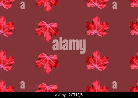 Seamless pattern of bright red maple leaves, isolated  on brick color background. Modern clean autumnal design. Stock Photo