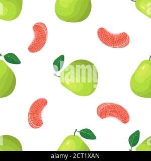 Seamless pattern with fresh bright exotic whole and piece pomelo fruit on white background. Summer fruits for healthy lifestyle. Organic fruit. Cartoo Stock Vector