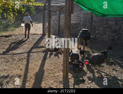 Farmer feeding animals and sorting out almonds in a farm in the Alpujarra mountains, Sierra Nevada,near Granada,Spain,Europe Stock Photo