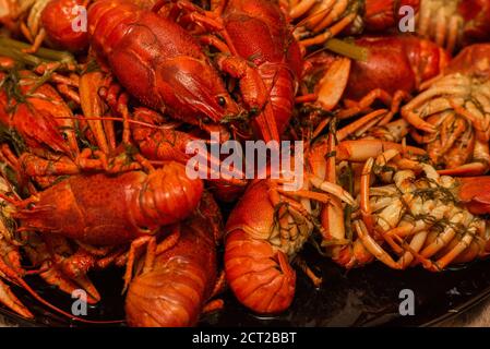 Tasty boiled crayfishes on a plate. Boiled crayfish in a plate Stock Photo