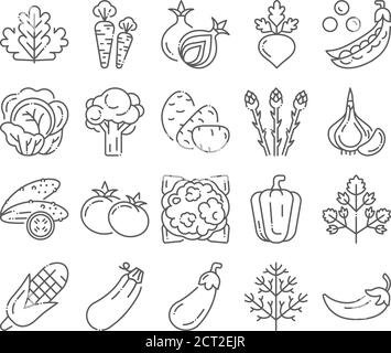 Natural vegetables black line icons set. Healthy, organic food concept. Cooking ingredients collection. Pictograms for web page, mobile app, promo. UI Stock Vector