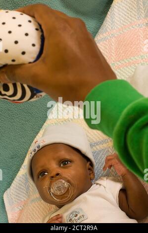 6 week old newborn baby boy one month premature alert looking at dangled toy Stock Photo