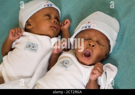 6 week old newborn fraternal twin boys one month premature,  one yawning, wearing caps Stock Photo