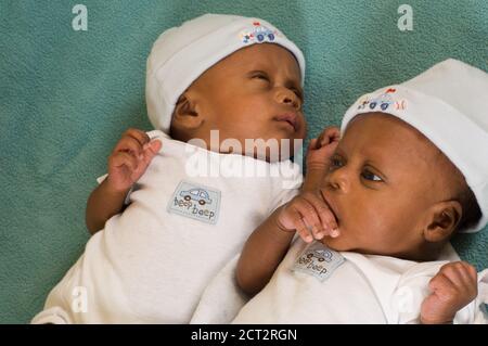 six week old fraternal twin newborn baby boys one month premature, one soothing self by sucking hand or fingers Stock Photo
