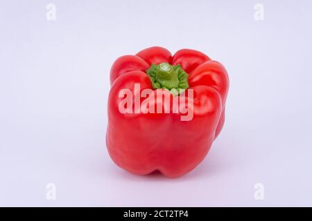 Still-life of a red Bell Pepper (Capsicum annuum), Surrey, England, United Kingdom Stock Photo