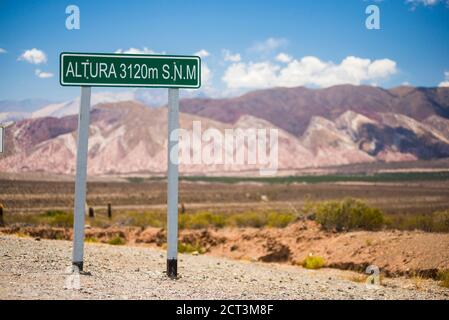 Cactus National Park (Parque Nacional Los Cardones), Cachi Valley, Calchaqui Valleys, Salta Province, North Argentina, South America Stock Photo