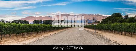 Bodega El Esteco, a winery and vineyard in Cafayate, Salta Province, North Argentina, South America Stock Photo