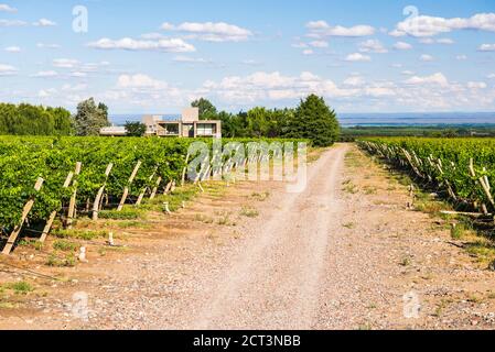 Bodega La Azul, a winery in Uco Valley (Valle de Uco), a wine region in Mendoza Province, Argentina, South America Stock Photo