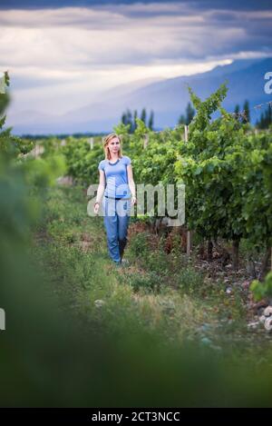 Woman in vineyards in Andes mountains on wine tasting vacation at a winery in Uco Valley (Valle de Uco), a wine region in Mendoza Province, Argentina, South America Stock Photo